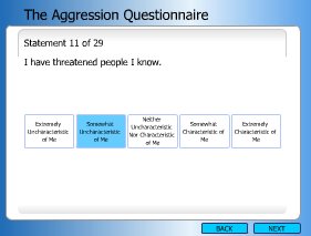 Custom Questionnaire Screenshot
